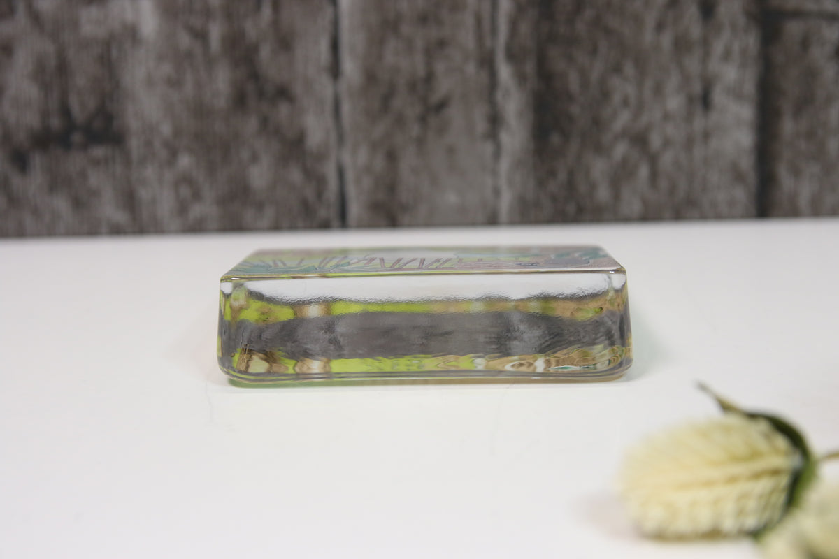 Iittala Muumi Lasikortti Tove Slotte-Elevant