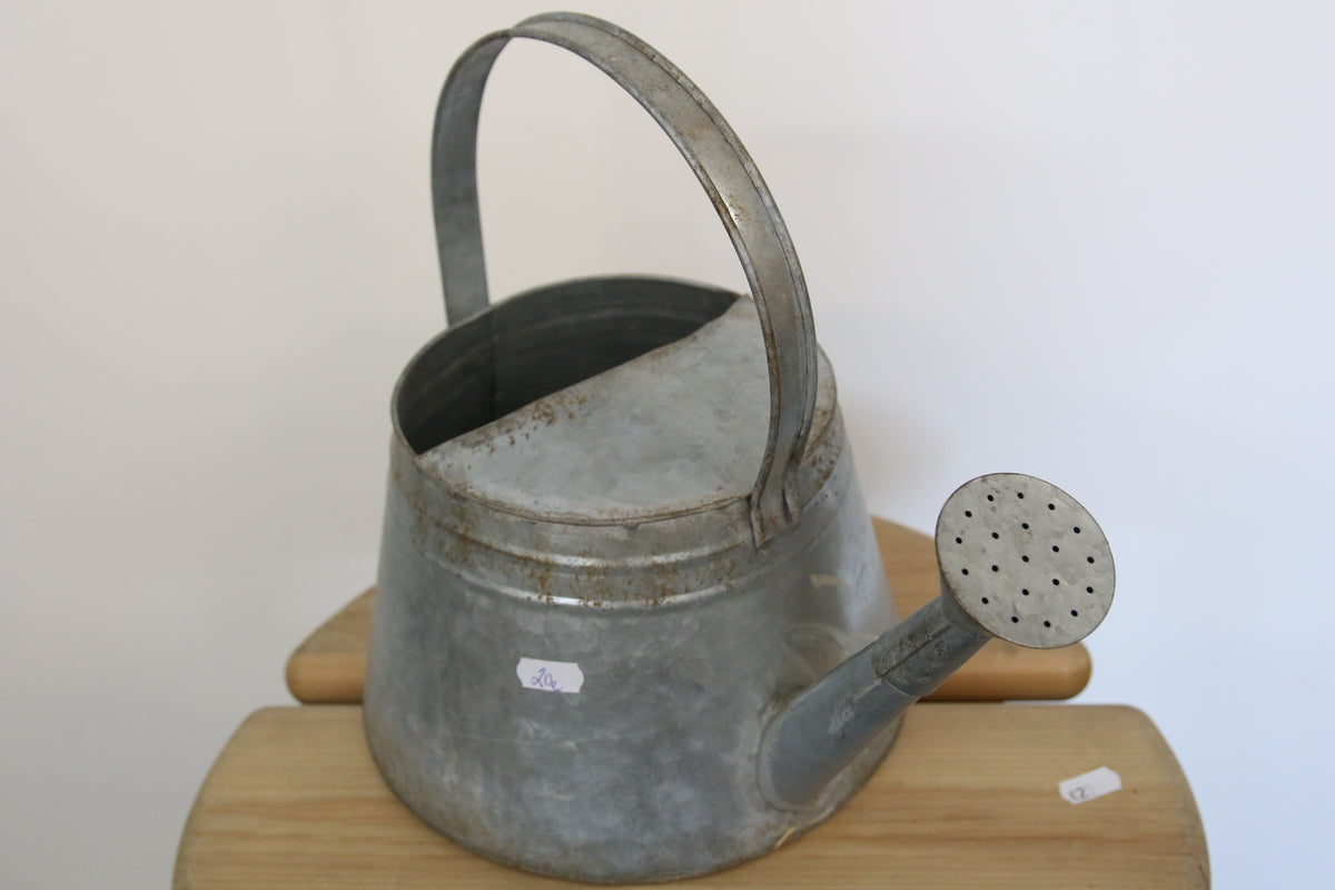 Sinkki kastelukannu