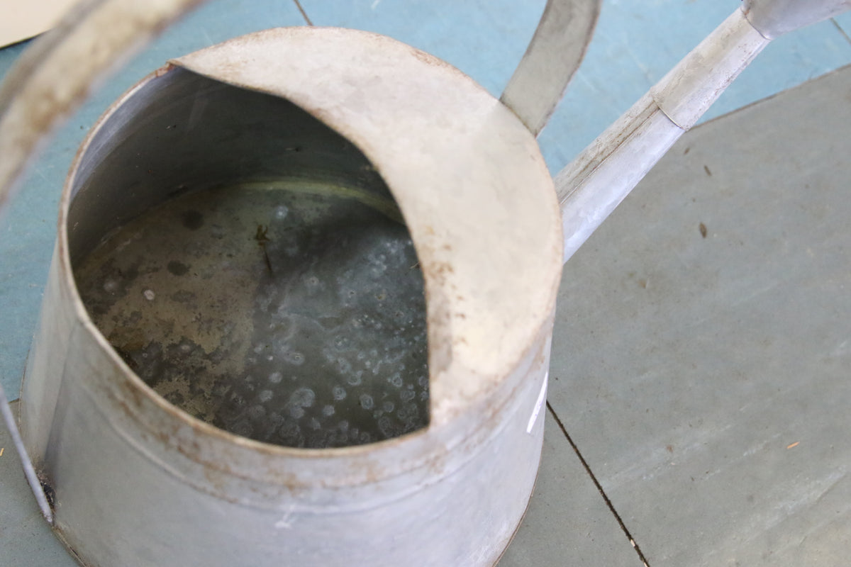 Sinkki kastelukannu