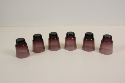 Iittala Snapsilasi 6kpl i-106 Timo Sarpaneva