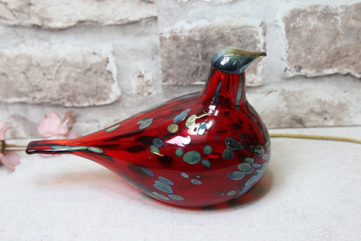 Iittala Rubiinilintu karpalo Oiva Toikka