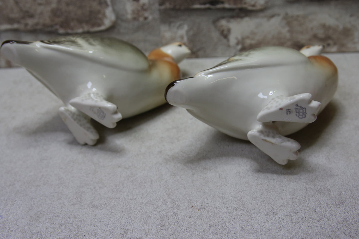 Lomonosov Peltopyy figuuri