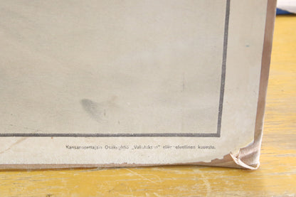 Susi Opetustaulu
