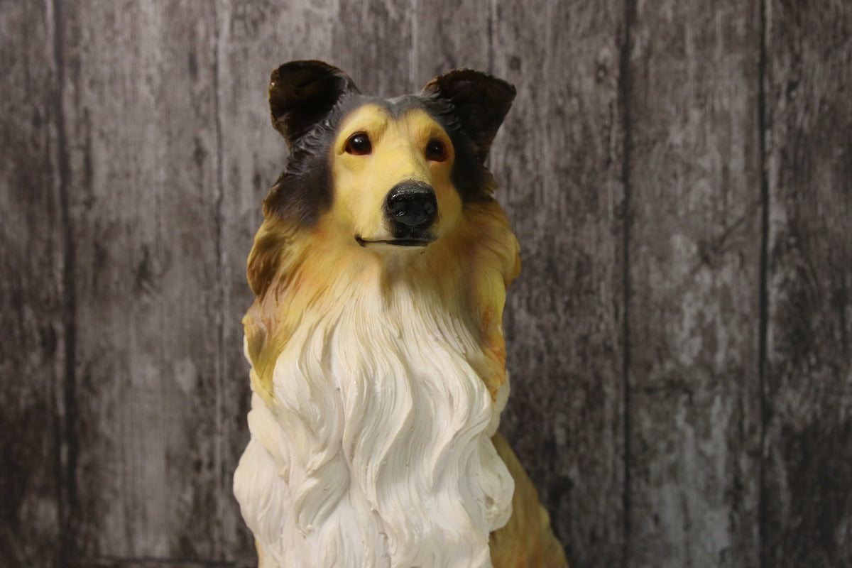 Lassie/Collie patsas