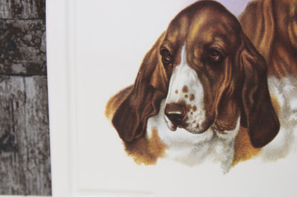 Kerma savi Seinälautanen Koirat Basset hound rotuiset