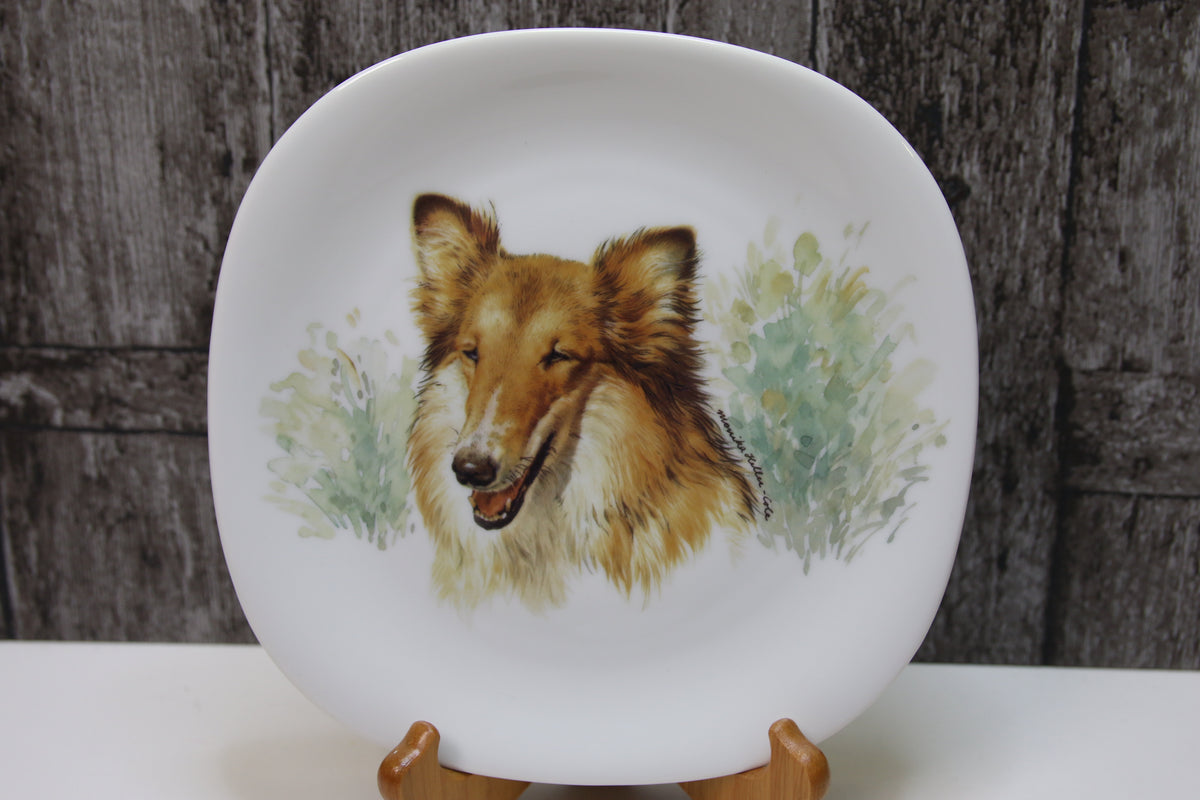 Seinälautanen Collie