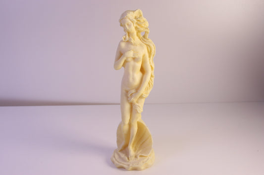 Naisfiguuri