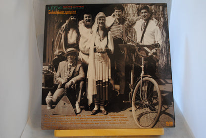 Leevi and the Leavings Turkmenialainen tyttöystävä Lp-levy