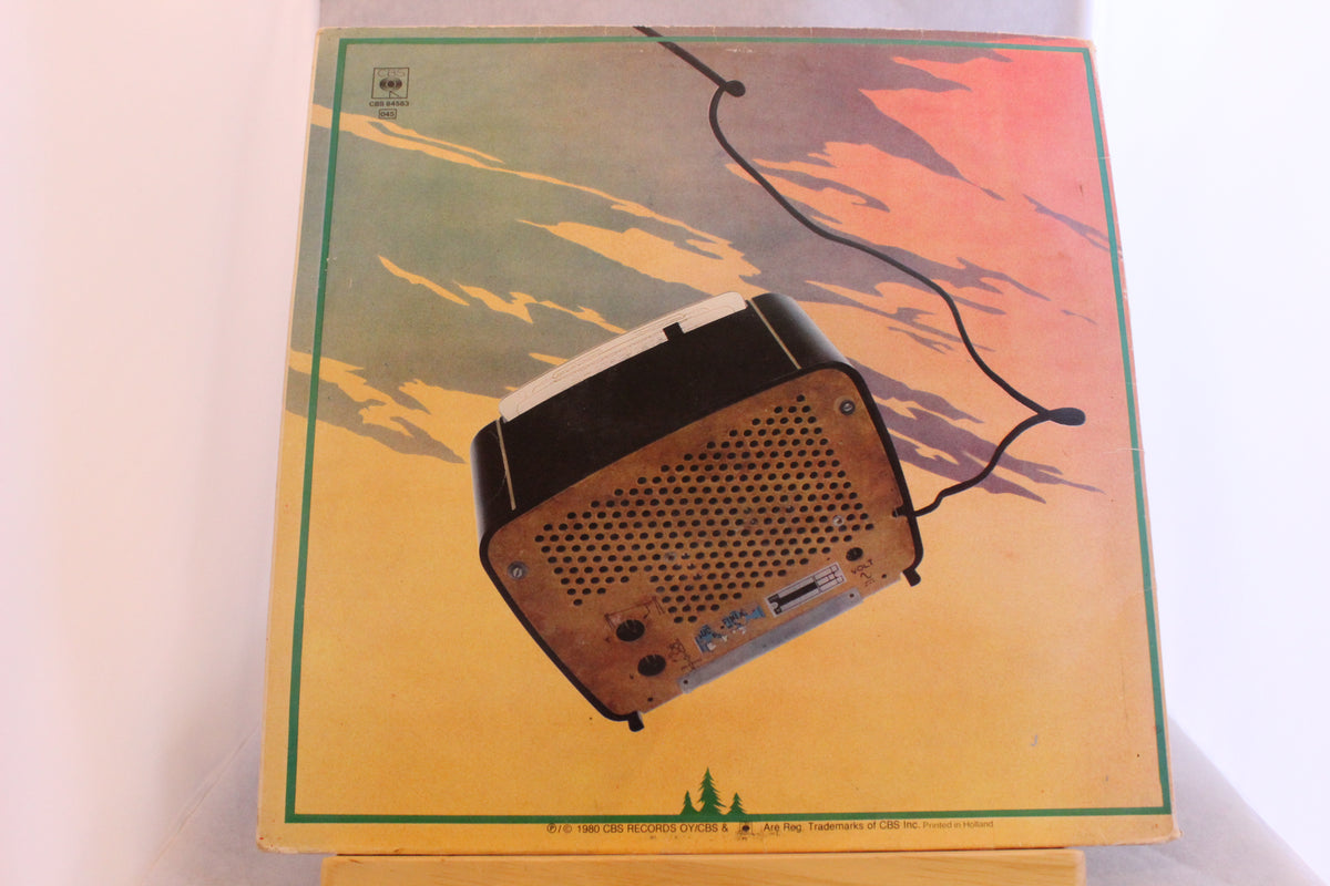 Sleepy sleepers Metsä ratio lp-levy